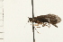  ( - 08NBEPT-1713)  @13 [ ] CreativeCommons - Attribution (2008) Unspecified Centre for Biodiversity Genomics