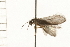  ( - 08NBEPT-1715)  @12 [ ] CreativeCommons - Attribution (2008) Unspecified Centre for Biodiversity Genomics