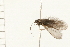 ( - 08NBEPT-1716)  @12 [ ] CreativeCommons - Attribution (2008) Unspecified Centre for Biodiversity Genomics