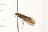  ( - 08NBEPT-0962)  @13 [ ] CreativeCommons - Attribution (2008) Unspecified Centre for Biodiversity Genomics