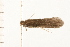  ( - 08NBEPT-1028)  @12 [ ] CreativeCommons - Attribution (2008) Unspecified Centre for Biodiversity Genomics