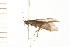  ( - 08NBEPT-1032)  @13 [ ] CreativeCommons - Attribution (2008) Unspecified Centre for Biodiversity Genomics