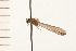  ( - 08NBEPT-1042)  @12 [ ] CreativeCommons - Attribution (2008) Unspecified Centre for Biodiversity Genomics