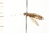  ( - 08NBEPT-1044)  @12 [ ] CreativeCommons - Attribution (2008) Unspecified Centre for Biodiversity Genomics