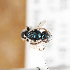  ( - ASUHIC0112699)  @11 [ ] by-nc-sa (2021) Jason Gibbs University of Manitoba