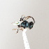 ( - ASUHIC0112753)  @11 [ ] by-nc-sa (2021) Jason Gibbs University of Manitoba