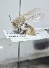  ( - WRME0507791)  @11 [ ] by (2025) Jason Gibbs University of Manitoba