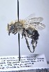  ( - WRME0519634)  @11 [ ] by (2025) Jason Gibbs University of Manitoba