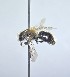  ( - WRME_JG00032)  @11 [ ] by (2025) Jason Gibbs University of Manitoba