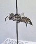  (Coelioxys nodis - WRME_JG00895)  @11 [ ] by (2025) Jason Gibbs University of Manitoba