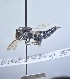  (Coelioxys funerarius - WRME_WMA15208)  @11 [ ] by (2025) Jason Gibbs University of Manitoba
