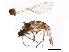  ( - BIOUG01756-A07)  @12 [ ] CreativeCommons - Attribution (2012) CBG Photography Group Centre for Biodiversity Genomics