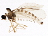  ( - BIOUG01774-D09)  @12 [ ] CreativeCommons - Attribution (2012) CBG Photography Group Centre for Biodiversity Genomics