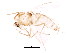  ( - BIOUG01774-F12)  @13 [ ] CreativeCommons - Attribution (2012) CBG Photography Group Centre for Biodiversity Genomics