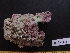  ( - NCCA0335)  @11 [ ] CreativeCommons - Attribution Share-Alike (2019) Unspecified Universidade da Coruna, Facultad de Ciencias