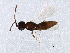  ( - BIOUG01657-C09)  @13 [ ] CreativeCommons - Attribution (2012) CBG Photography Group Centre for Biodiversity Genomics