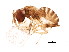  ( - BIOUG01757-C01)  @12 [ ] CreativeCommons - Attribution (2012) CBG Photography Group Centre for Biodiversity Genomics