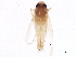  (Eratoneura flexibilis - BIOUG01797-B09)  @14 [ ] CreativeCommons - Attribution (2012) CBG Photography Group Centre for Biodiversity Genomics