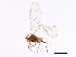  ( - BIOUG01652-F10)  @15 [ ] CreativeCommons - Attribution (2012) CBG Photography Group Centre for Biodiversity Genomics