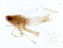  ( - BIOUG01663-C07)  @12 [ ] CreativeCommons - Attribution (2012) CBG Photography Group Centre for Biodiversity Genomics
