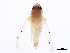  (Eratoneura minor - BIOUG01791-B11)  @14 [ ] CreativeCommons - Attribution (2012) CBG Photography Group Centre for Biodiversity Genomics