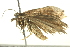  ( - BIOUG01573-H01)  @12 [ ] CreativeCommons - Attribution (2012) CBG Photography Group Centre for Biodiversity Genomics