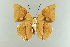  ( - AIV 001)  @13 [ ] Unspecified (default): All Rights Reserved  Unspecified Unspecified