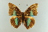  ( - AIV 001)  @13 [ ] Unspecified (default): All Rights Reserved  Unspecified Unspecified