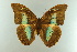  ( - AIV 002)  @13 [ ] Unspecified (default): All Rights Reserved  Unspecified Unspecified