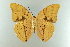  ( - AIV 002)  @13 [ ] Unspecified (default): All Rights Reserved  Unspecified Unspecified