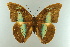  ( - AIV 003)  @13 [ ] Unspecified (default): All Rights Reserved  Unspecified Unspecified