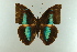  ( - AIV 004)  @13 [ ] Unspecified (default): All Rights Reserved  Unspecified Unspecified