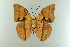  ( - AIV 004)  @13 [ ] Unspecified (default): All Rights Reserved  Unspecified Unspecified