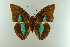  ( - AIV 005)  @13 [ ] Unspecified (default): All Rights Reserved  Unspecified Unspecified