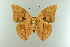  ( - AIV 005)  @13 [ ] Unspecified (default): All Rights Reserved  Unspecified Unspecified