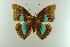  ( - AIV 006)  @13 [ ] Unspecified (default): All Rights Reserved  Unspecified Unspecified