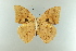  ( - AIV 006)  @13 [ ] Unspecified (default): All Rights Reserved  Unspecified Unspecified