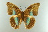  ( - AIV 007)  @13 [ ] Unspecified (default): All Rights Reserved  Unspecified Unspecified