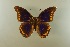  ( - AIV 034)  @13 [ ] Unspecified (default): All Rights Reserved  Unspecified Unspecified