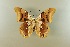  ( - AIV 034)  @12 [ ] Unspecified (default): All Rights Reserved  Unspecified Unspecified