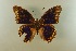  ( - AIV 035)  @13 [ ] Unspecified (default): All Rights Reserved  Unspecified Unspecified