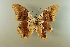  ( - AIV 035)  @12 [ ] Unspecified (default): All Rights Reserved  Unspecified Unspecified
