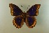  ( - AIV 036)  @14 [ ] Unspecified (default): All Rights Reserved  Unspecified Unspecified