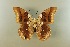  ( - AIV 036)  @12 [ ] Unspecified (default): All Rights Reserved  Unspecified Unspecified