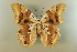  ( - AIV 037)  @12 [ ] Unspecified (default): All Rights Reserved  Unspecified Unspecified