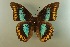  ( - AIV 038)  @14 [ ] Unspecified (default): All Rights Reserved  Unspecified Unspecified