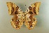 ( - AIV 038)  @12 [ ] Unspecified (default): All Rights Reserved  Unspecified Unspecified