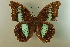  ( - AIV 039)  @13 [ ] Unspecified (default): All Rights Reserved  Unspecified Unspecified