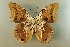  ( - AIV 039)  @12 [ ] Unspecified (default): All Rights Reserved  Unspecified Unspecified