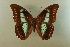  ( - AIV 040)  @14 [ ] Unspecified (default): All Rights Reserved  Unspecified Unspecified